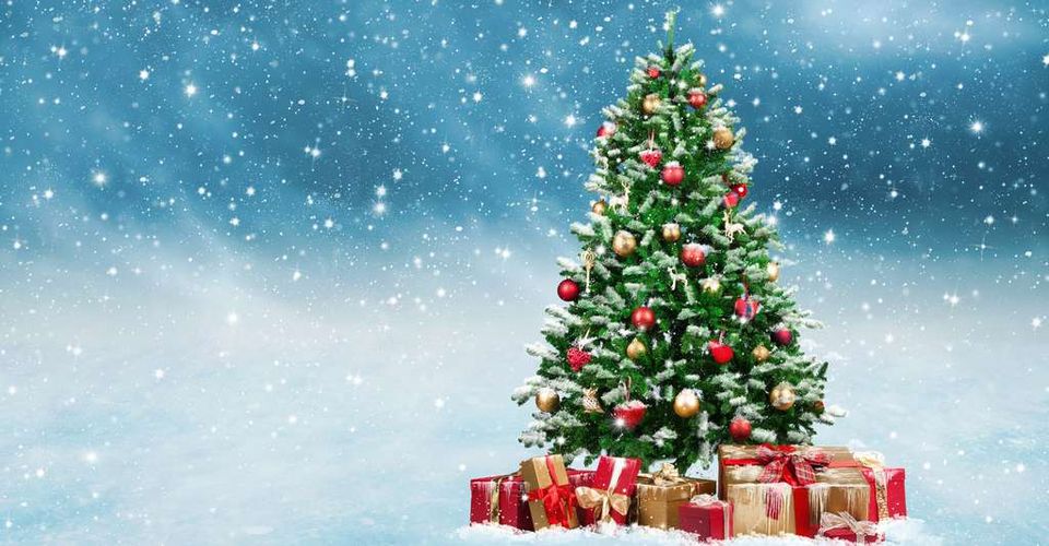 CJST – Grande vente de sapins